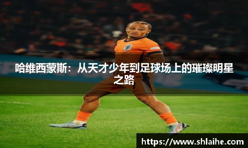 j9官方网站